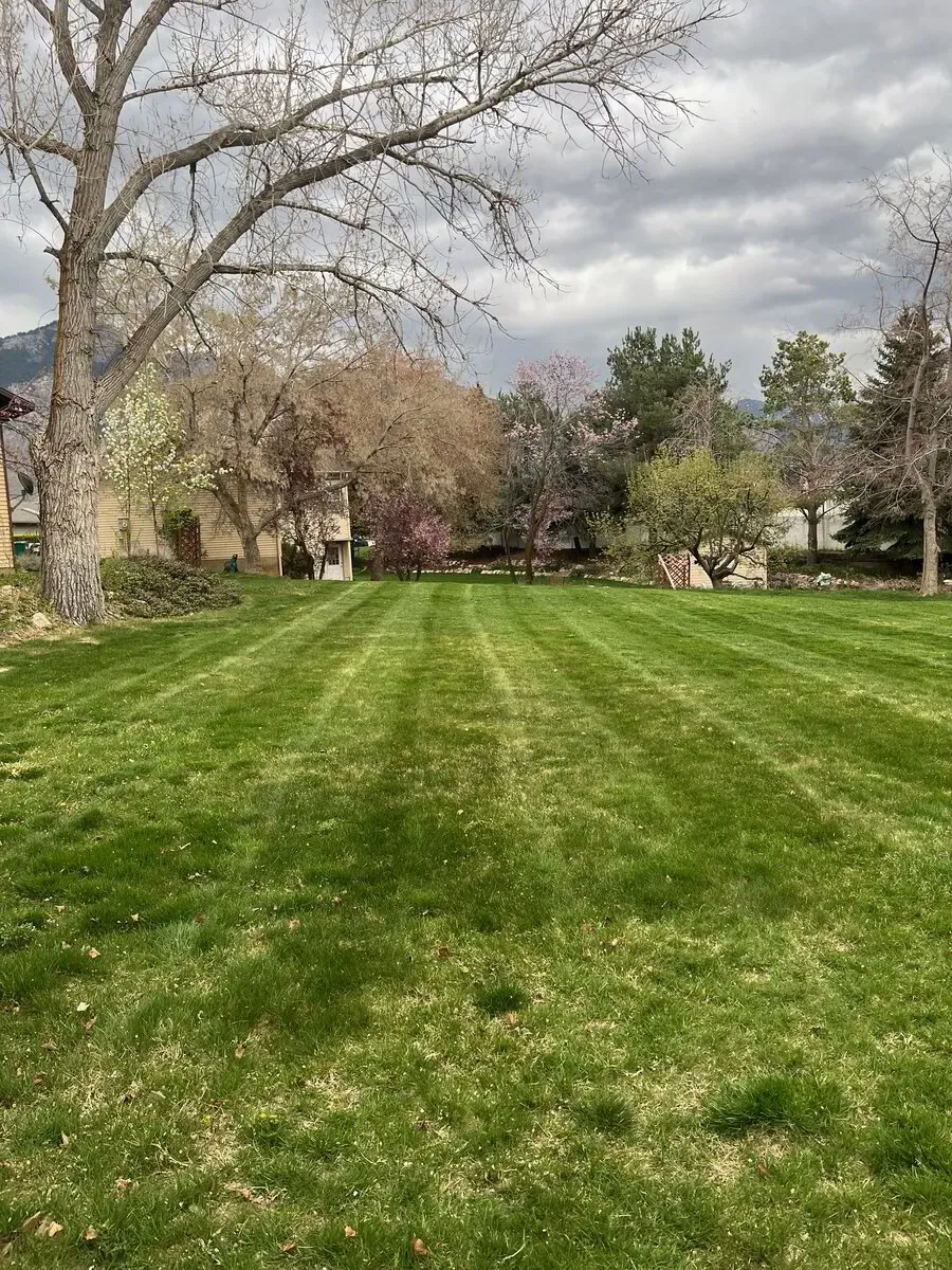 A freshly mown lawn with sharp edges