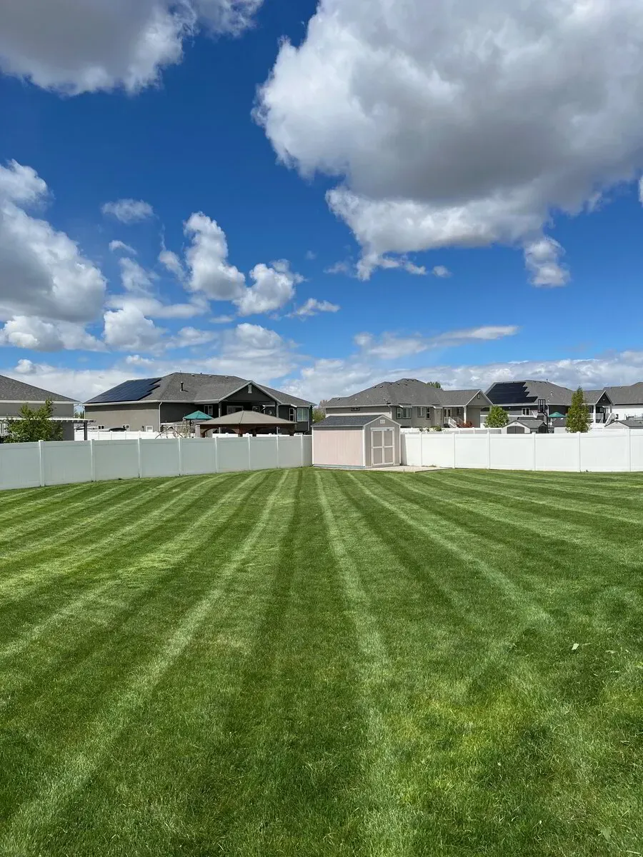 A larger property with trees and obstacles