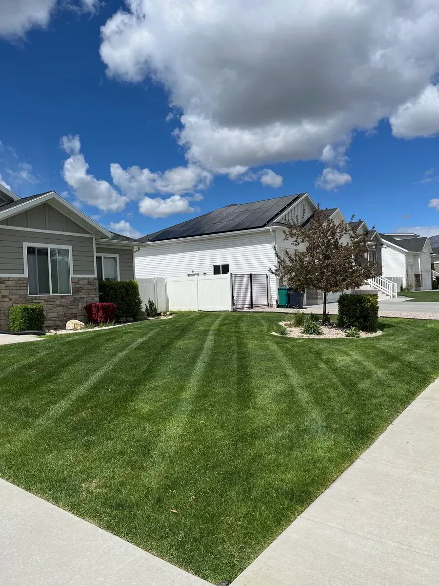 A tidy residential street lawn